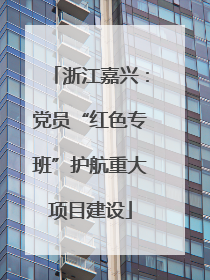 浙江嘉兴：党员“红色专班”护航重大项目建设