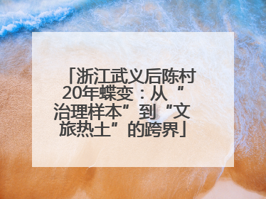 浙江武义后陈村20年蝶变：从“治理样本”到“文旅热土”的跨界