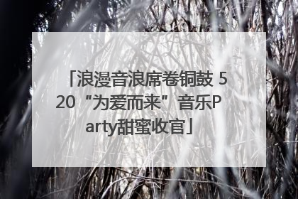 浪漫音浪席卷铜鼓 520“为爱而来”音乐Party甜蜜收官