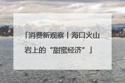 消费新观察丨海口火山岩上的“甜蜜经济”