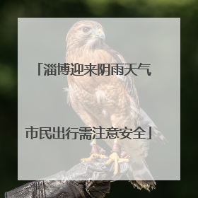 淄博迎来阴雨天气 市民出行需注意安全