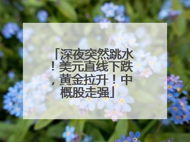 深夜突然跳水！美元直线下跌，黄金拉升！中概股走强