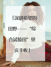 深耕希望的田野——“综合试验田”里庆丰收
