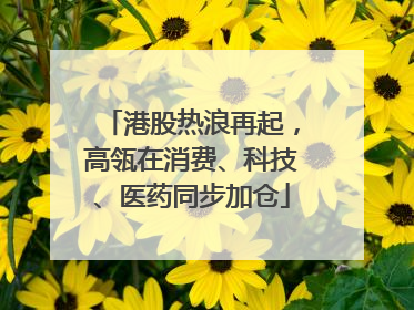 港股热浪再起，高瓴在消费、科技、医药同步加仓