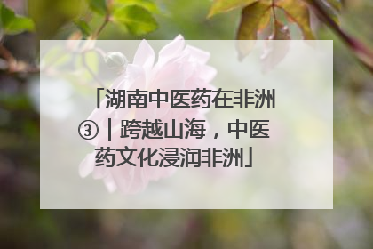 湖南中医药在非洲③｜跨越山海，中医药文化浸润非洲