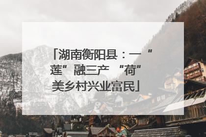 湖南衡阳县：一“莲”融三产 “荷”美乡村兴业富民