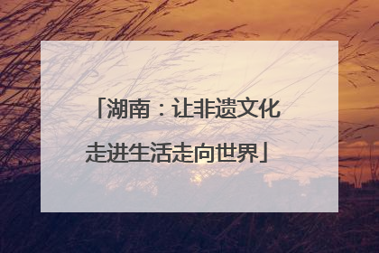 湖南：让非遗文化走进生活走向世界