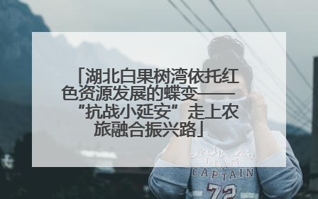 湖北白果树湾依托红色资源发展的蝶变——“抗战小延安”走上农旅融合振兴路
