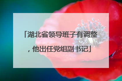 湖北省领导班子有调整，他出任党组副书记