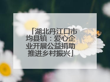 湖北丹江口市均县镇：爱心企业开展公益捐助推进乡村振兴