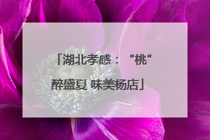 湖北孝感：“桃”醉盛夏 味美杨店