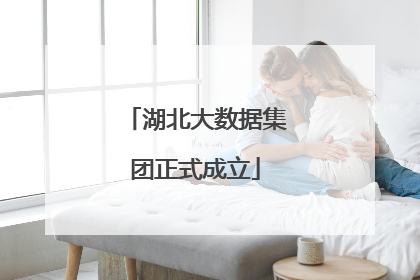 湖北大数据集团正式成立