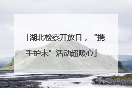 湖北检察开放日，“携手护未”活动超暖心