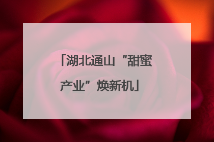 湖北通山“甜蜜产业”焕新机