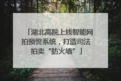 湖北高院上线智能网拍预警系统，打造司法拍卖“防火墙”
