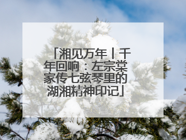 湘见万年丨千年回响：左宗棠家传七弦琴里的湖湘精神印记