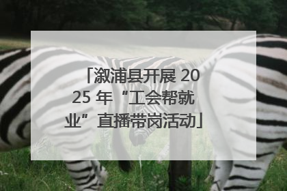 溆浦县开展 2025 年“工会帮就业”直播带岗活动