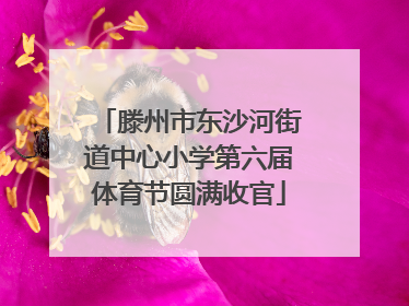 滕州市东沙河街道中心小学第六届体育节圆满收官
