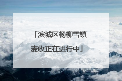滨城区杨柳雪镇麦收正在进行中