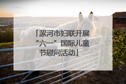 漯河市妇联开展“六一”国际儿童节慰问活动
