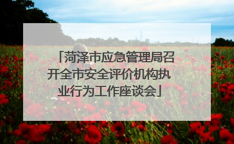菏泽市应急管理局召开全市安全评价机构执业行为工作座谈会