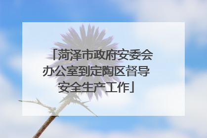 菏泽市政府安委会办公室到定陶区督导安全生产工作