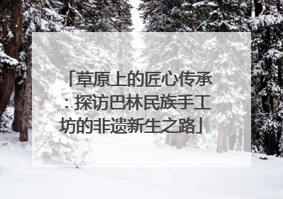 草原上的匠心传承：探访巴林民族手工坊的非遗新生之路