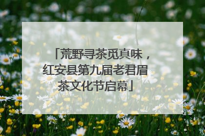 荒野寻茶觅真味，红安县第九届老君眉茶文化节启幕