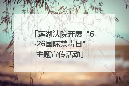 莲湖法院开展“6·26国际禁毒日”主题宣传活动