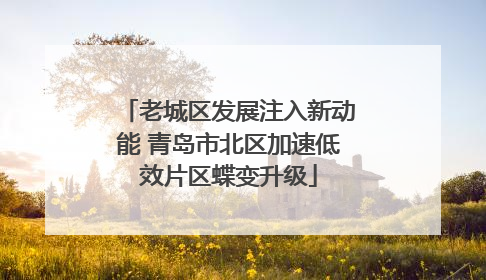 老城区发展注入新动能 青岛市北区加速低效片区蝶变升级