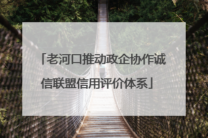 老河口推动政企协作诚信联盟信用评价体系