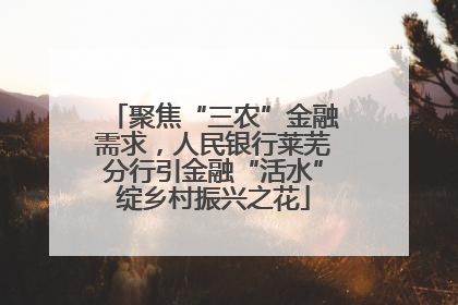 聚焦“三农”金融需求，人民银行莱芜分行引金融“活水”绽乡村振兴之花