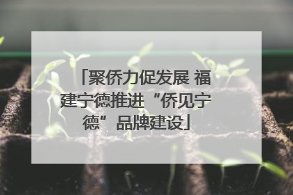 聚侨力促发展 福建宁德推进“侨见宁德”品牌建设