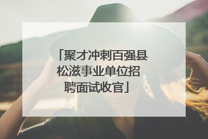聚才冲刺百强县 松滋事业单位招聘面试收官