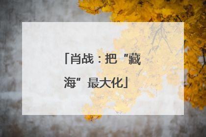 肖战：把“藏海”最大化