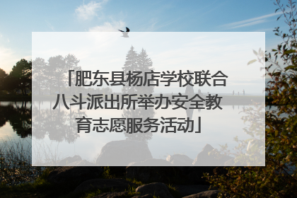 肥东县杨店学校联合八斗派出所举办安全教育志愿服务活动