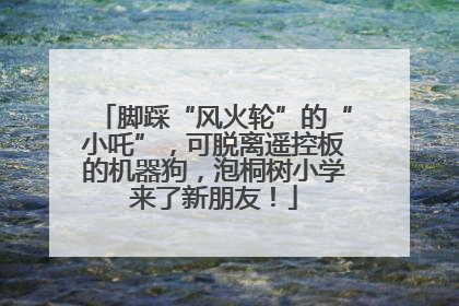 脚踩“风火轮”的“小吒”，可脱离遥控板的机器狗，泡桐树小学来了新朋友！