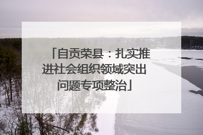 自贡荣县：扎实推进社会组织领域突出问题专项整治