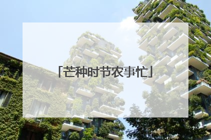 芒种时节农事忙