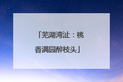 芜湖湾沚：桃香满园醉枝头