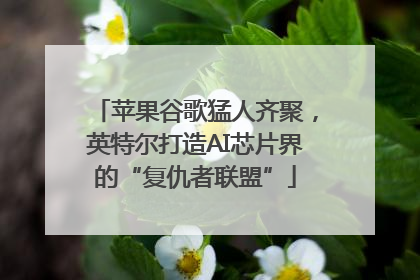 苹果谷歌猛人齐聚，英特尔打造AI芯片界的“复仇者联盟”