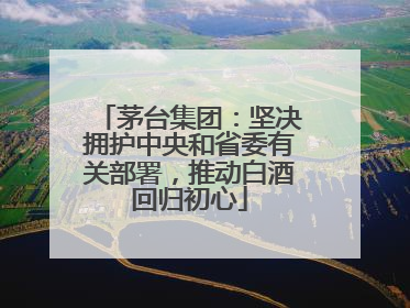 茅台集团：坚决拥护中央和省委有关部署，推动白酒回归初心