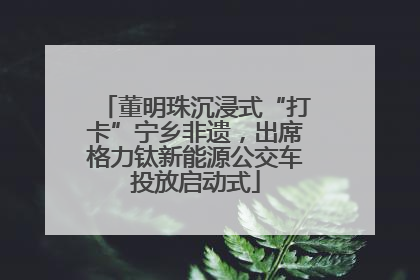 董明珠沉浸式“打卡”宁乡非遗，出席格力钛新能源公交车投放启动式