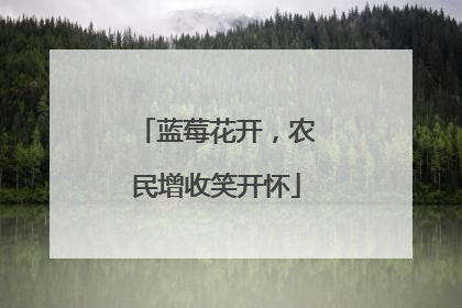 蓝莓花开，农民增收笑开怀