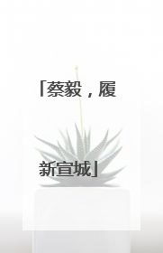 蔡毅，履新宣城