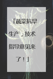 蔬菜抗旱生产，技术指导意见来了！