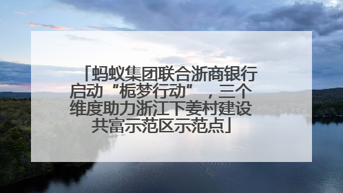 蚂蚁集团联合浙商银行启动“栀梦行动”，三个维度助力浙江下姜村建设共富示范区示范点