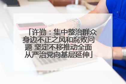 许勤：集中整治群众身边不正之风和腐败问题 坚定不移推动全面从严治党向基层延伸