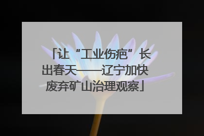 让“工业伤疤”长出春天——辽宁加快废弃矿山治理观察