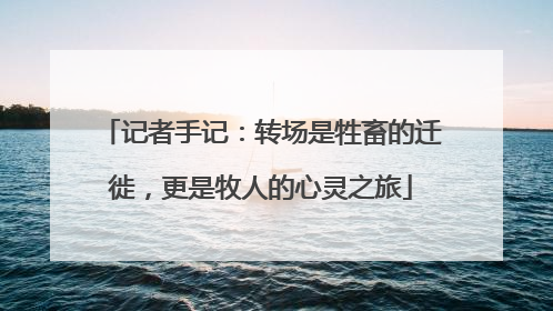 记者手记：转场是牲畜的迁徙，更是牧人的心灵之旅